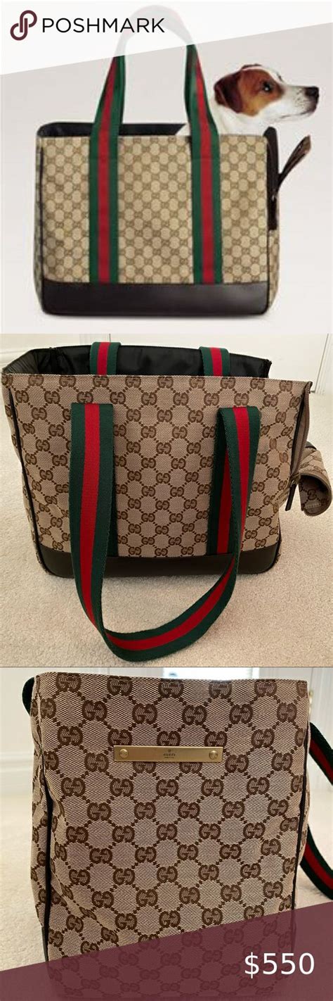 gucci cat carrier|cat wearing gucci.